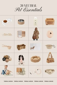 the poster shows different types of items that can be used to create an advertisement for pet products