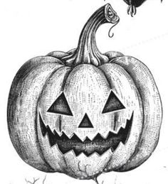 a black and white drawing of a jack - o'- lantern with a spider on it