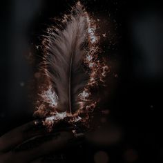 a person holding a feather in their hand with fire coming out of it's feathers