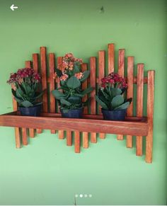 three potted plants sitting on top of a wooden shelf next to a green wall