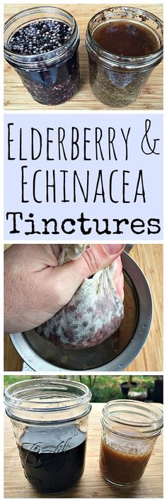 Learn how to make two homemade tinctures, elderberry and echinacea! Homemade Tinctures, Tincture Recipes, Tinctures Recipes, Herbal Health