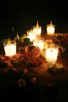 candles are lit on the ground surrounded by roses and petals, with leaves scattered around them