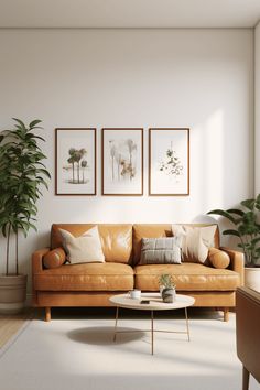 a living room filled with furniture and plants