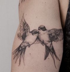 two birds flying next to each other on the arm