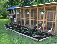 several chickens in a small chicken coop with plants growing out of the top and bottom