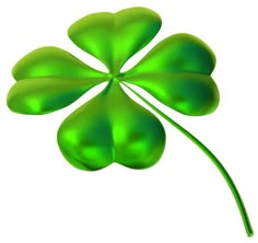 a four leaf clover on a white background stock photo image and royalty free shamrock clipart