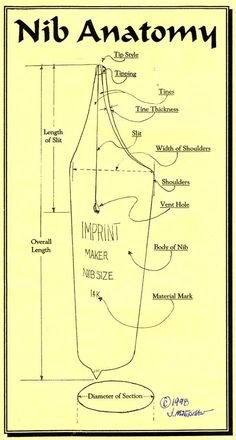 an instruction manual for the nib anatomy