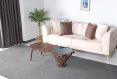 a living room with a couch, coffee table and potted plant in the corner