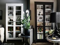 a living room filled with furniture and a tall book case next to a lamp on top of a table