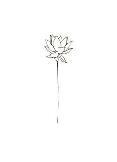 Lotus Flower Drawing, Faith Tattoo On Wrist, Plants Drawings, Roses Plants, Hamsa Tattoo, Lotus Flower Art, Lotus Flower Design, Blooming Lotus, Disney Tattoo