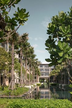 the building is surrounded by lush vegetation and trees, along with a river running through it