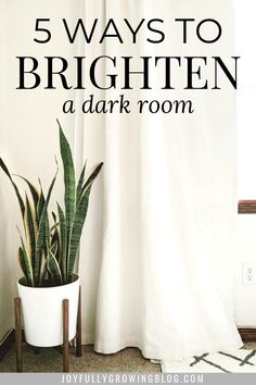 a potted plant next to a white curtain with the words 5 ways to brighten a dark room