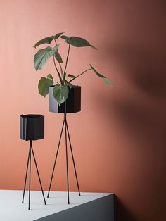 two black planters sitting on top of a white shelf next to a pink wall