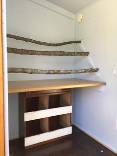 a shelf with some branches on top of it