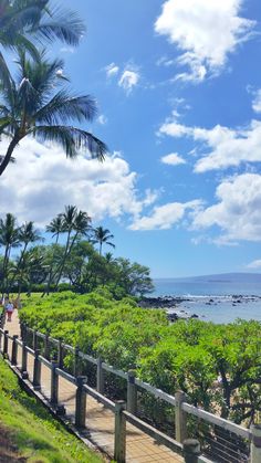 people walking down a path near the ocean and palm trees on a sunny day with blue skies