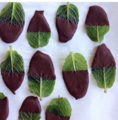 chocolate leaves are arranged on a sheet of wax paper with green leaves in the middle