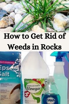 how to get rid of weeds in rocks Kill Weeds Naturally, Killing Weeds, Garden Remedies, Weeds In Lawn, Lawn Care Tips, Garden Weeds, Garden Help, Garden Yard Ideas, Lawn And Garden