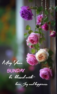 flowers hanging from the side of a building with happy sunday written on it's side