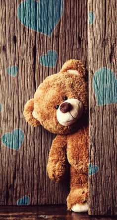 a brown teddy bear leaning against a wooden wall