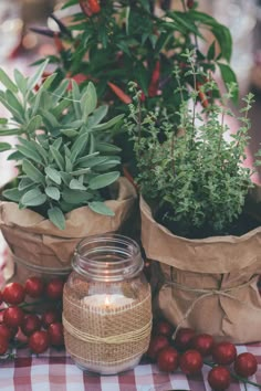 some plants are sitting in bags on a checkered table cloth and one jar is filled with water