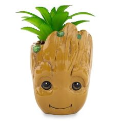 a potted planter with a smiling face and green leaves on it's head