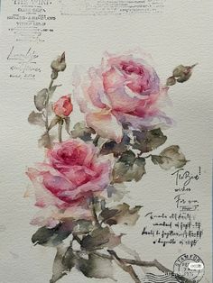 watercolor painting of pink roses on white paper with handwritten writing in the background