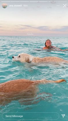 two dogs swimming in the ocean with a woman taking a selfie on her phone