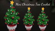 three small christmas trees are in the potted plant