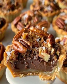 pecan pies with chocolate and nuts on top are ready to be eaten by the guests