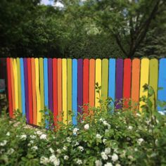 a rainbow colored fence in the middle of some bushes and flowers with trees in the background