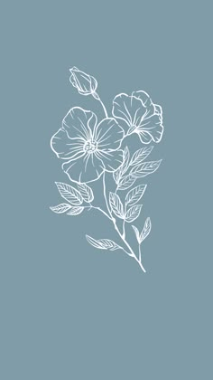 a white flower on a blue background