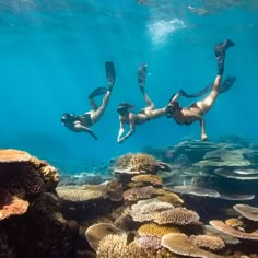 three people are swimming in the ocean with corals