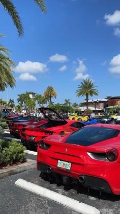 a row of red sports cars parked in a parking lot with palm trees behind them