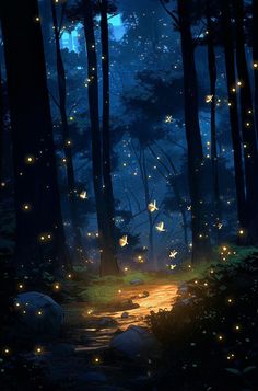 a forest filled with lots of lights and stars