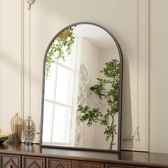 a mirror sitting on top of a wooden dresser next to a potted green plant