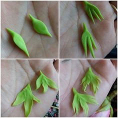 four pictures of green leaves being held in the palm