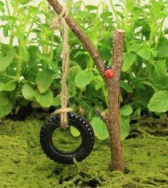 a tire hanging from a tree branch