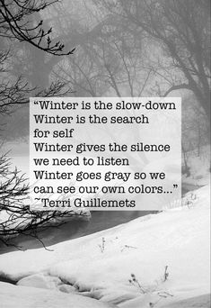 Winter is the slow-down
Winter is the search for self
Winter gives the silence we need to listen
Winter goes gray so we can see our own colors...
~Terri Guillemets Slow Winter Aesthetic, Winter Rest Quotes, Wintering Quotes, Winter Wellness Aesthetic, January Quotes Inspirational, December Quotes Winter, Snowless Winter