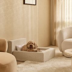 a dog is sitting in his bed on the carpet