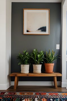 three potted plants sit on a wooden bench in front of a gray painted wall