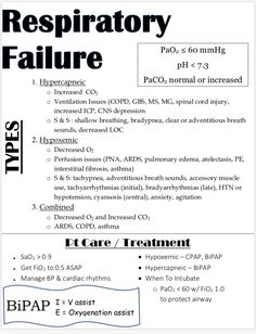 an image of the back side of a paper with instructions on how to use it