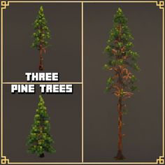 three pine trees are shown in four different angles, with the same tree on each side