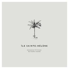 a black and white image of a palm tree with the words, le saint - helene