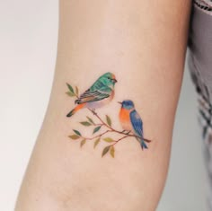 two small birds on a branch with leaves around it's ankles, one is blue and the other is orange