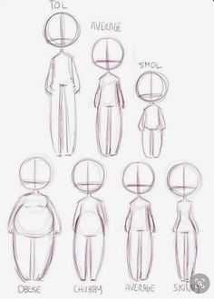 an image of how to draw people from different angles and body shapes, with the words average