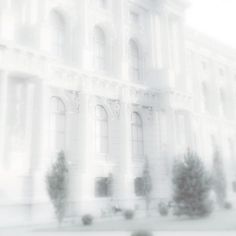 a blurry photo of a large white building with trees on the front and side