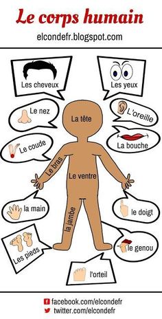 the human body is labeled in different languages and features words that describe what it's like