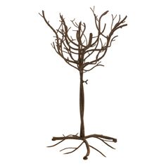 a tree with no leaves is shown on a white background in this image, it appears to be dead