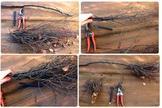 the process of cutting branches with pliers and scissors on a wooden surface, including twigs