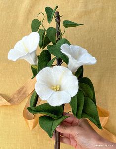 a hand holding a white flower with green leaves